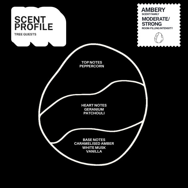 Tree Guests scent profile with top, heart and base fragrance notes