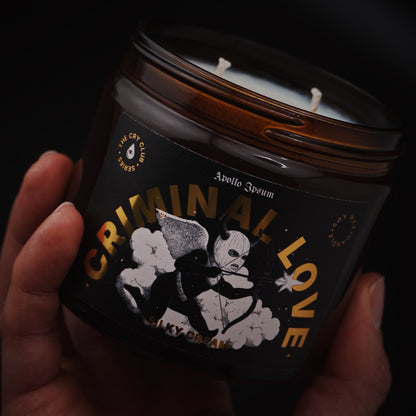 Criminal Love