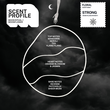 Sleepless Night Candle Blind Box (Series 3)