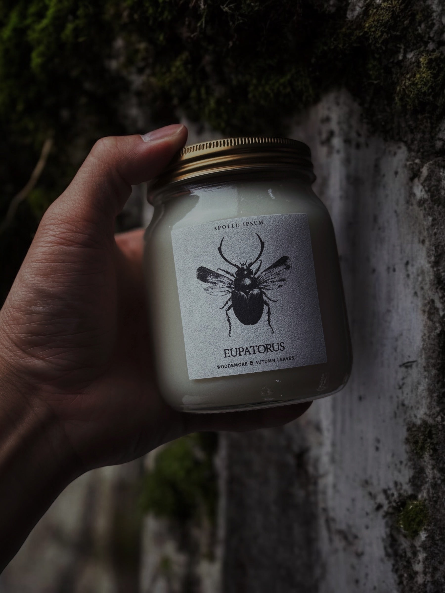 EUPATORUS