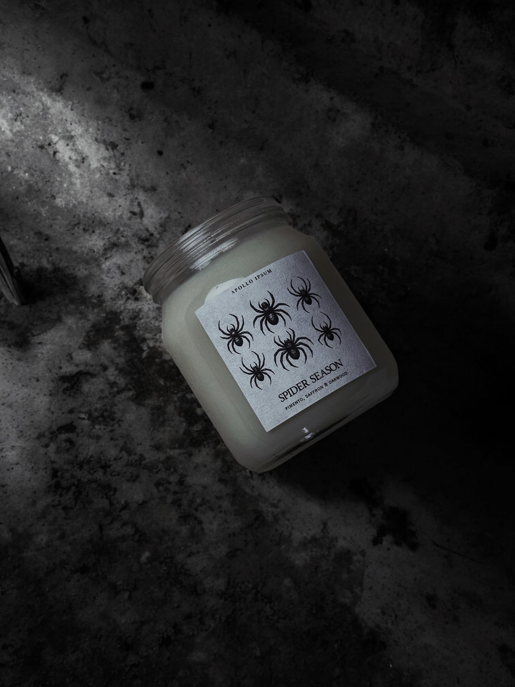 SPIDER SEASON