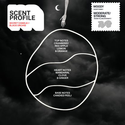 Sleepless Night Candle Blind Box (Series 3)